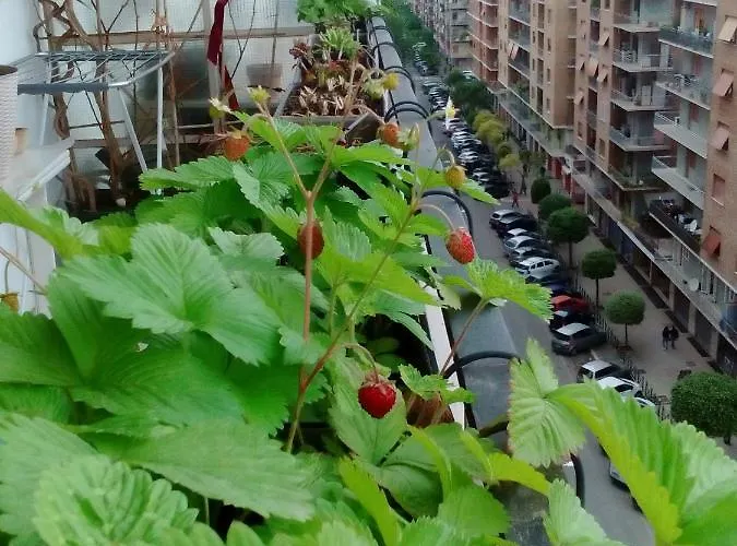Sole E Luna Апартаменты